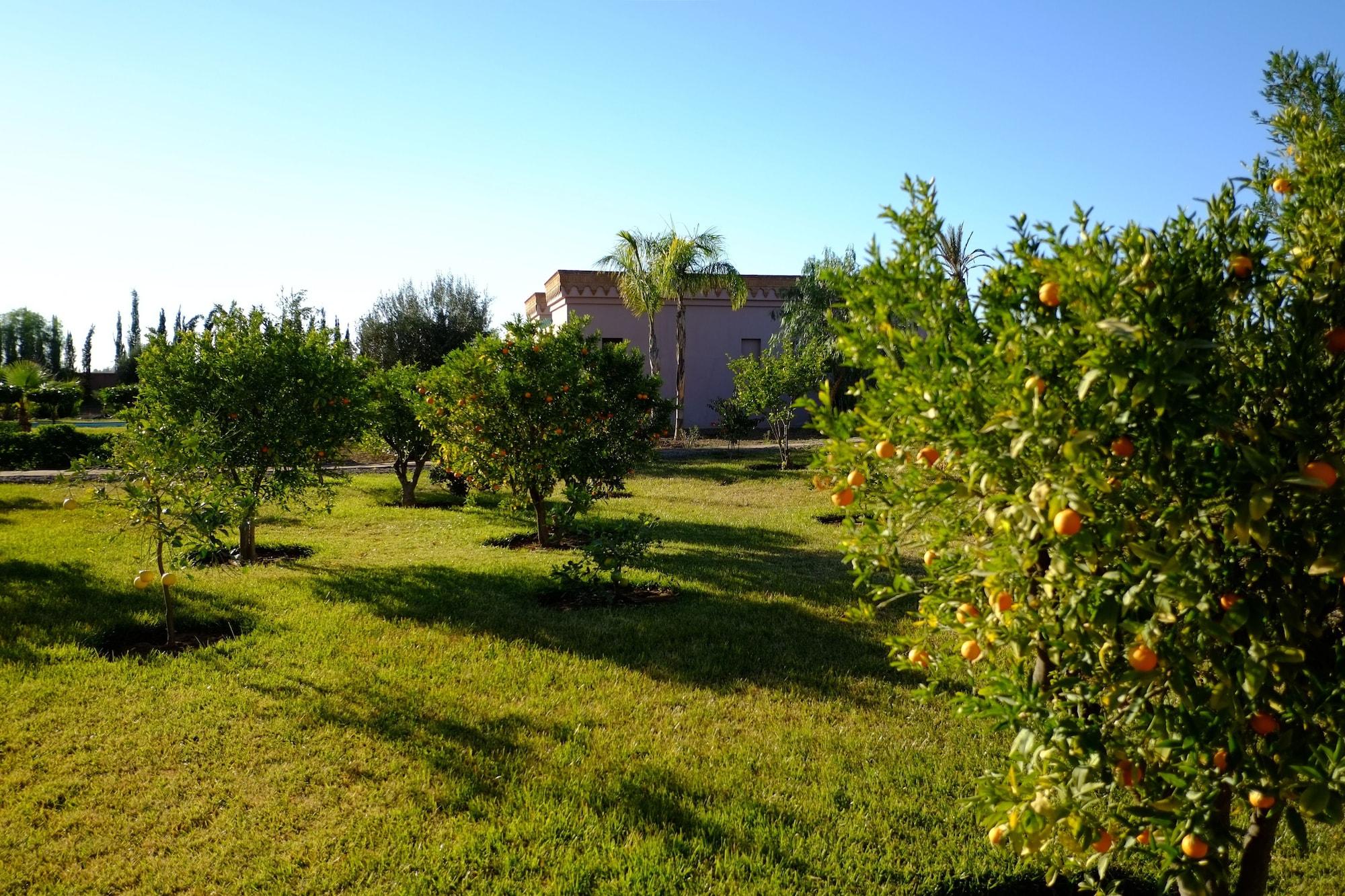 Terra Mia Marrakech Bed and Breakfast Ouled Jelal Exterior foto